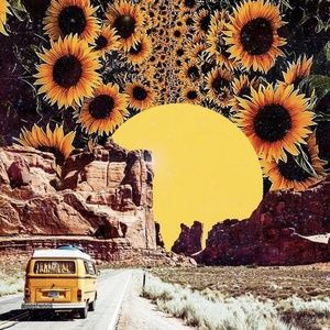 Meet your Posher, Lila